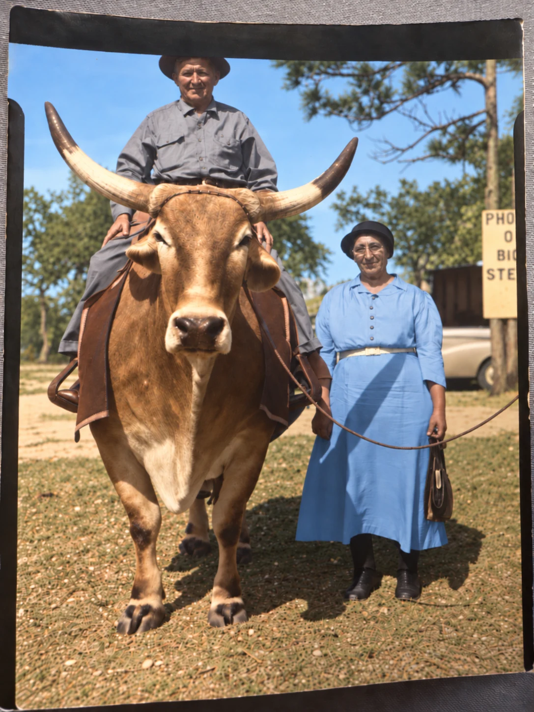 Historic Leichty family photograph:John Leichty seated on a longhorn steer beside Salome Leichty